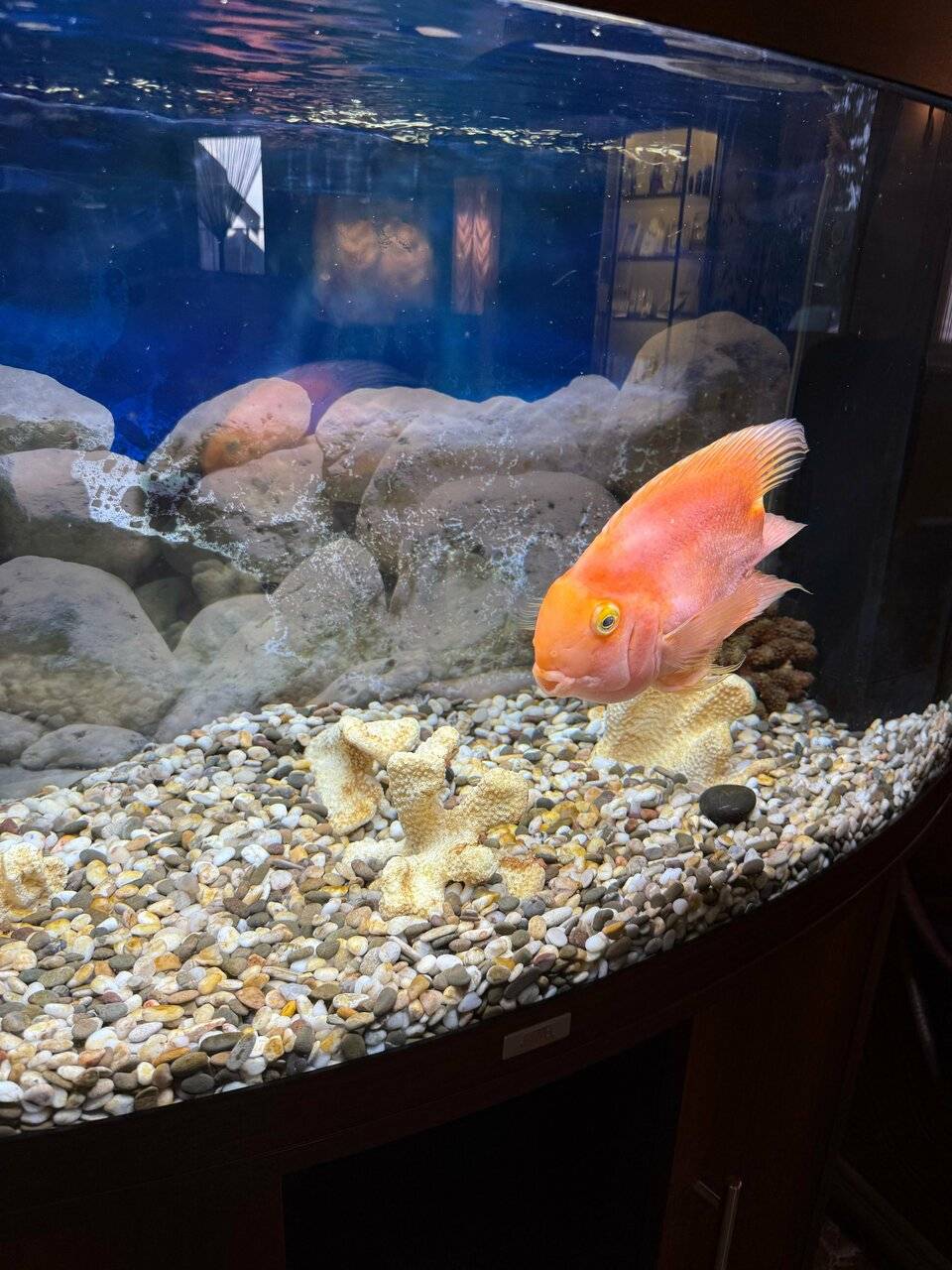 Фото Гостиницы Театральный Суздаль 163