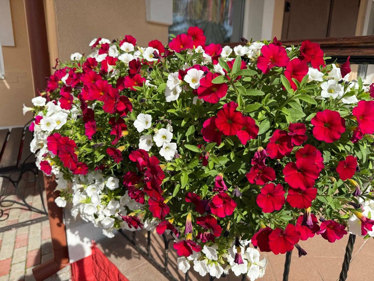 Фото Гостиницы Театральный Суздаль 159